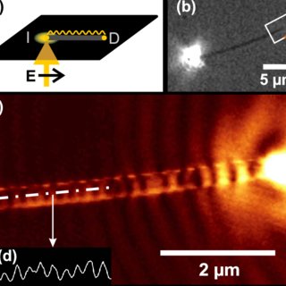 color-online-Surface-plasmon-propagation-along-the-186-m-long-silver-nanowire-in-Fig_Q320.jpg