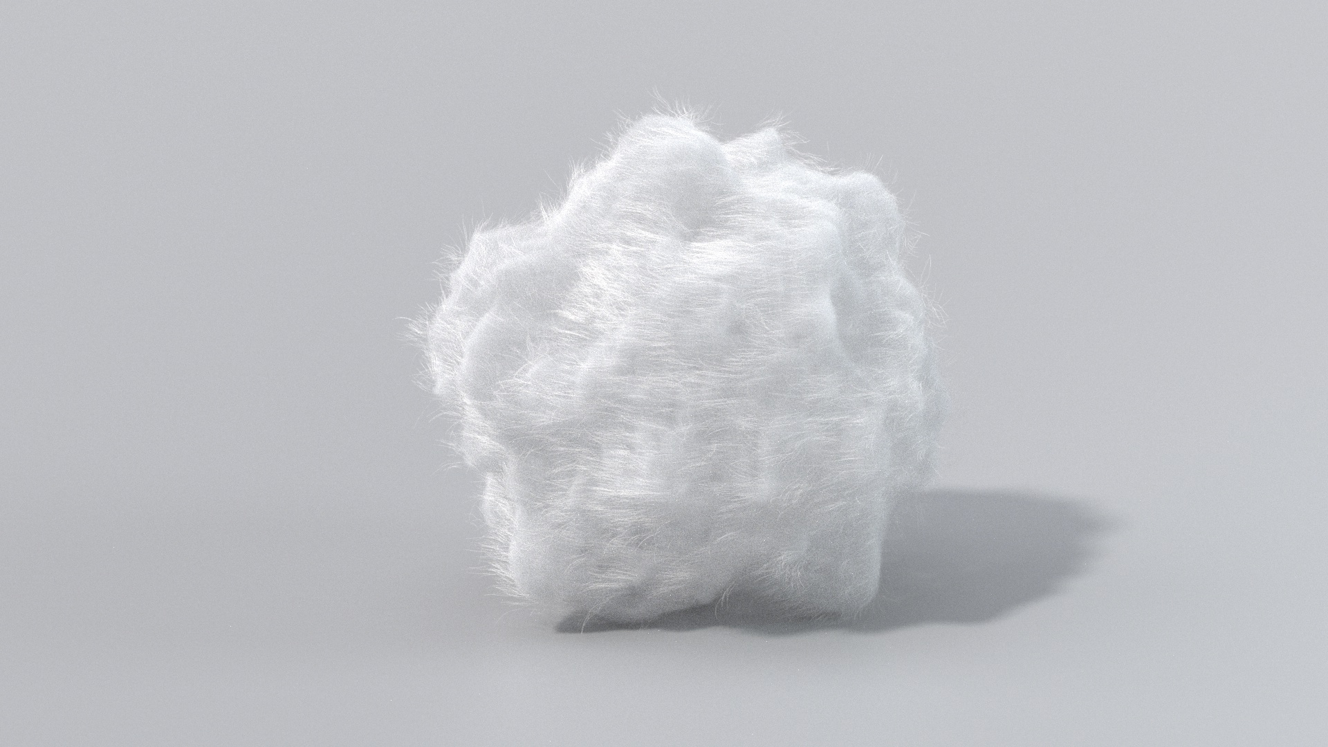 Wool_Test.jpg