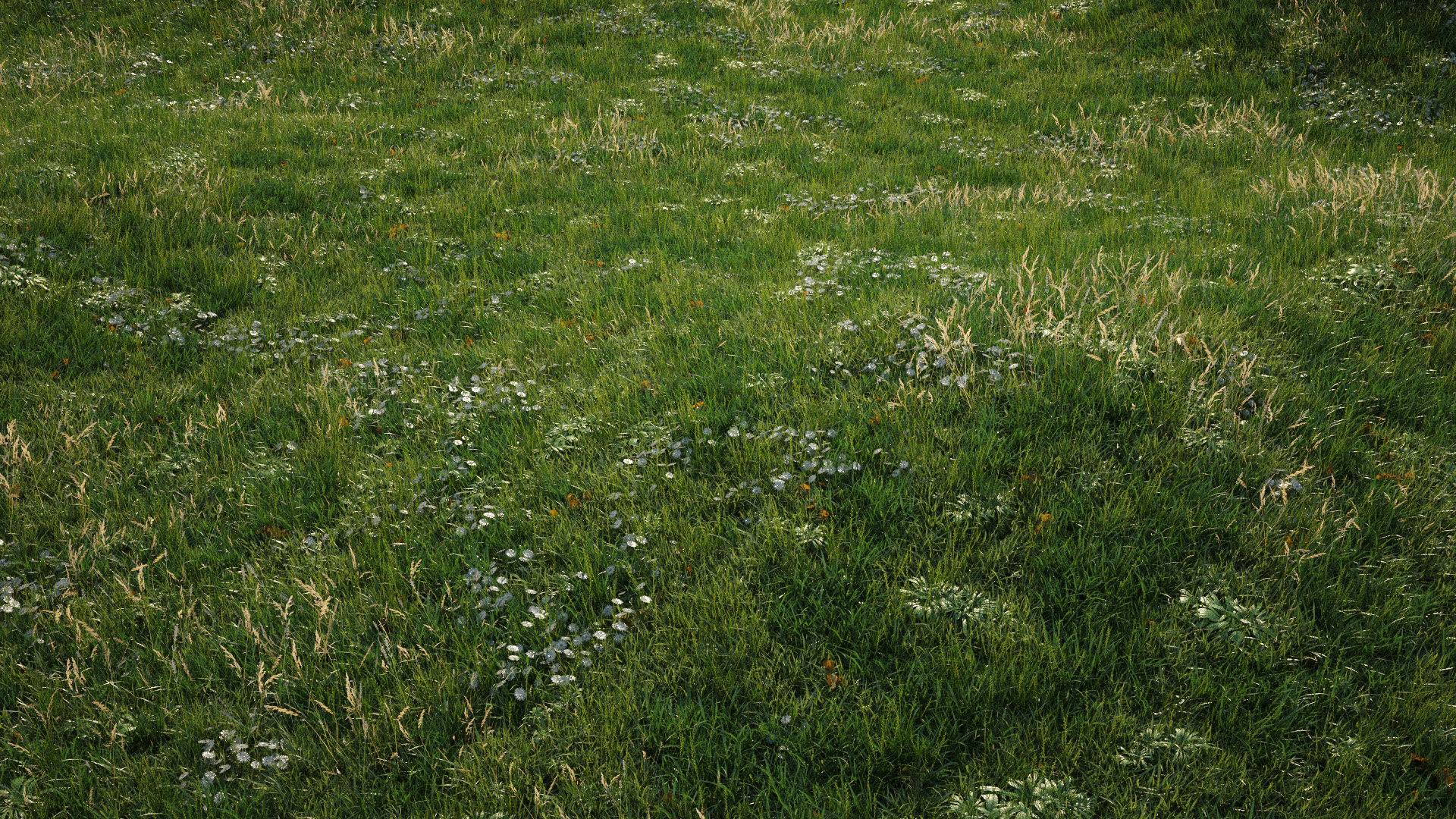 mm_grass_assets_01.jpg