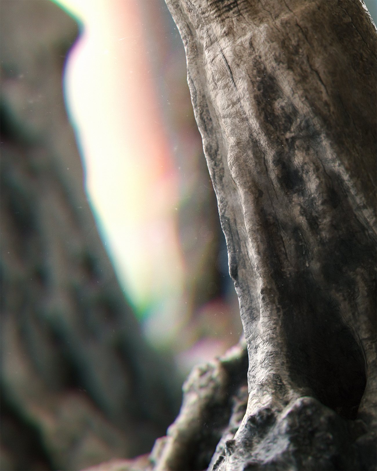01_December_Materialthon_07_NaturalWood_Frame.jpg