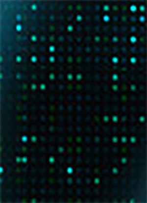 Untitled-1.jpg