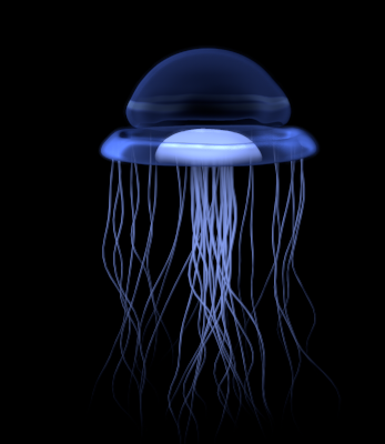 jelly fish.png