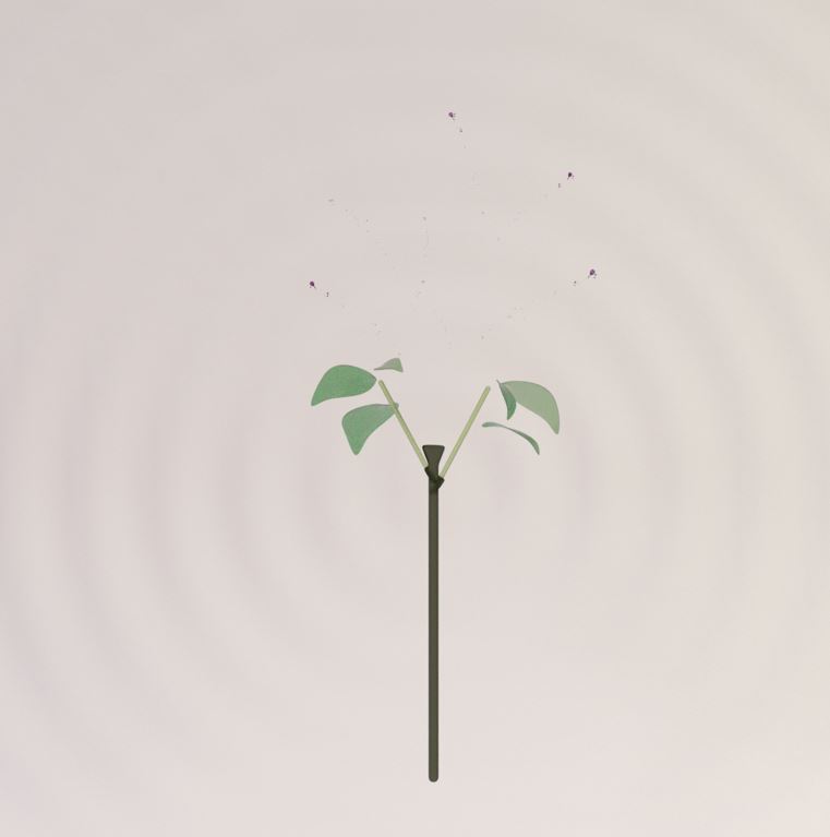 캡처.JPG