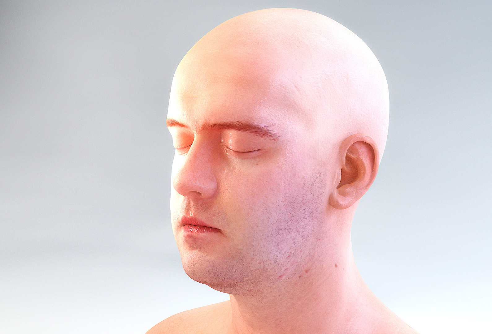 human_web.jpg