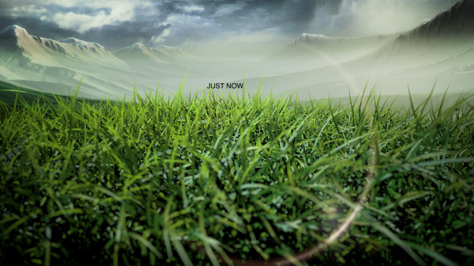 Grass_JustNow.jpg