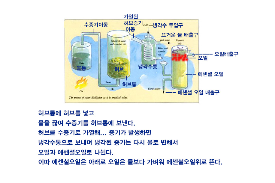 KakaoTalk_20161114_144008412.jpg