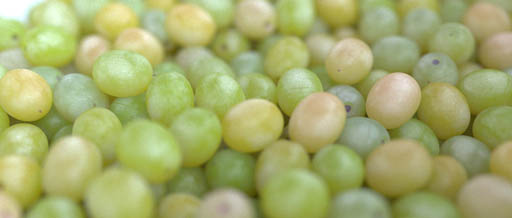 SSS grapes.jpg