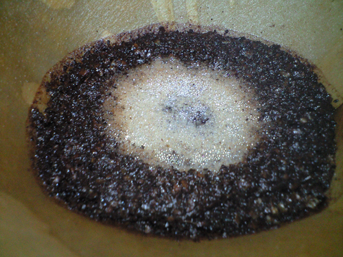 사진 090506_090.jpg