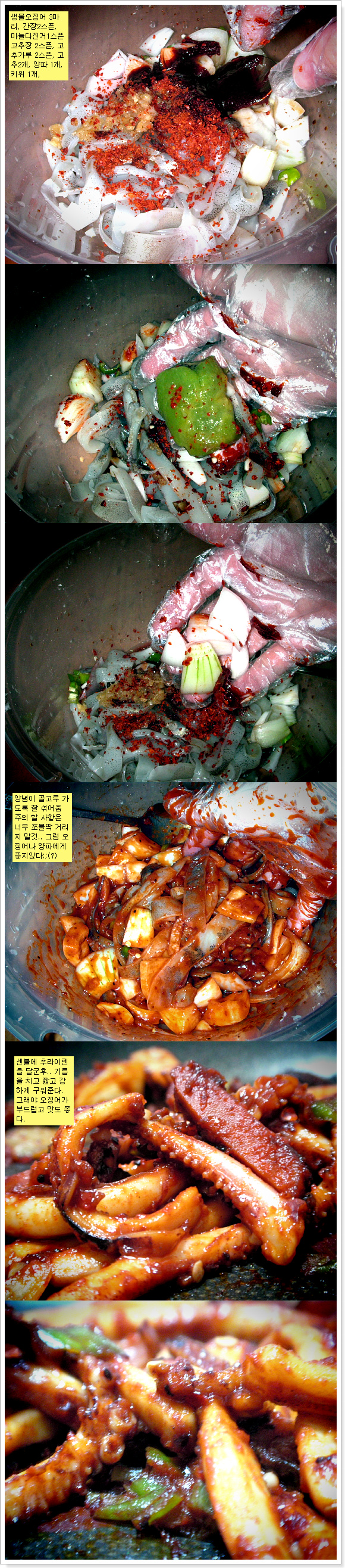 생물오징어 두루치기.jpg