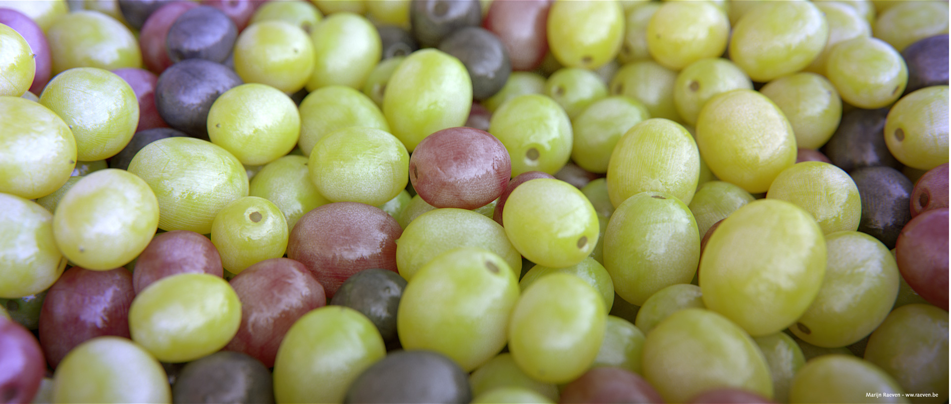 RTEmagicP_grapes_01.jpg