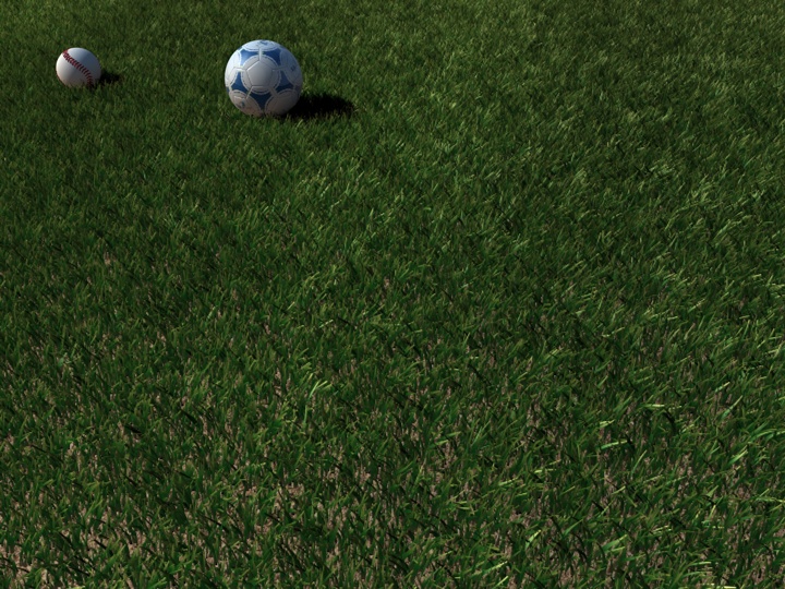 grass_test.jpg