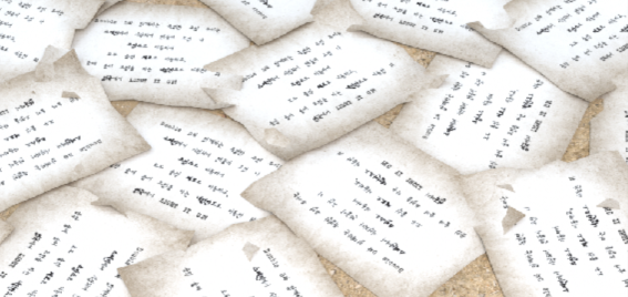 화면 캡처 2024-07-31 143655.png