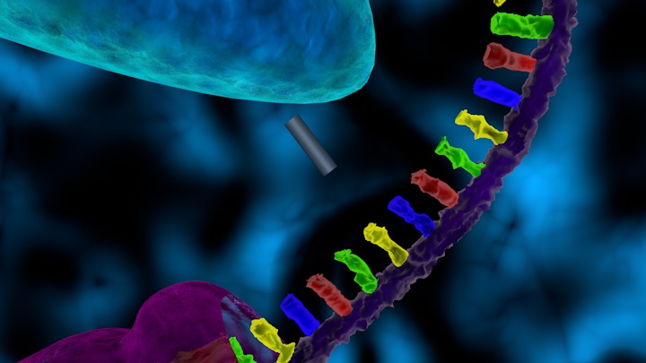 DNA ING RE 5 - work - bottom line  Rigggg.jpg