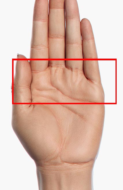 Female_Hand2.jpg