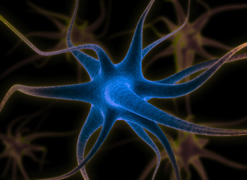 neuron33.jpg