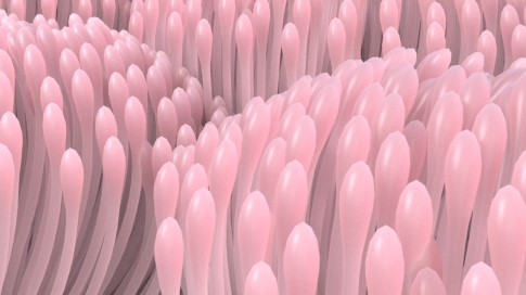 화면 캡처 2025-11-10 094204.jpg