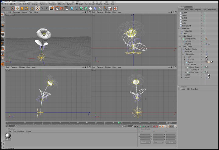 flower.jpg