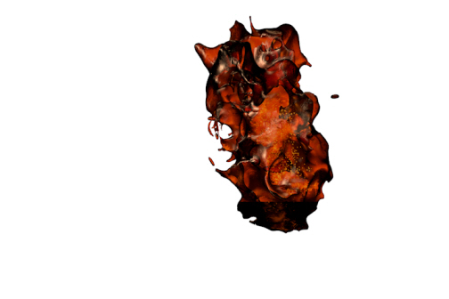 test233_0200.jpg
