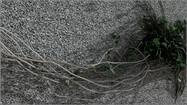 IvyGrower_03.jpg