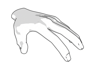 hand0166.jpg