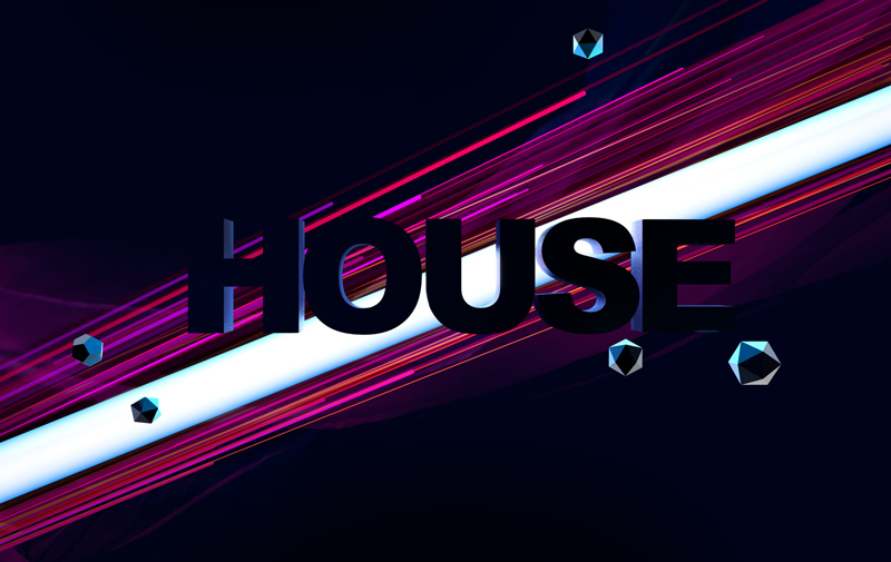HOUSE_800.jpg