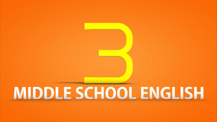 MSE_L3.wmv_000004604.jpg