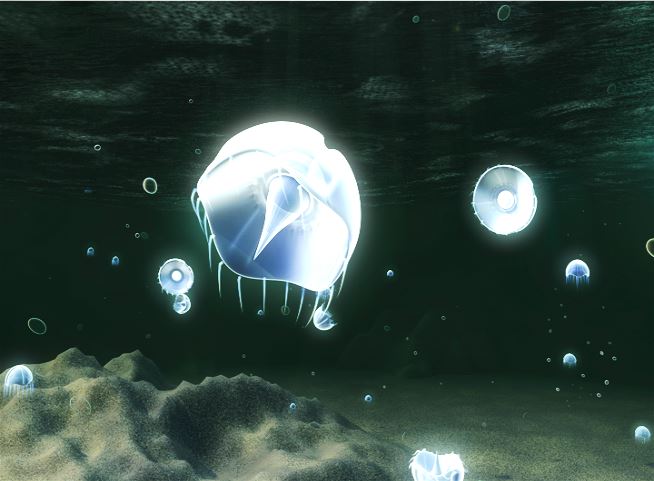 s2.JPG