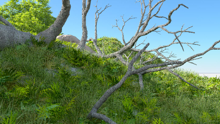 C4D_VUE2.jpg