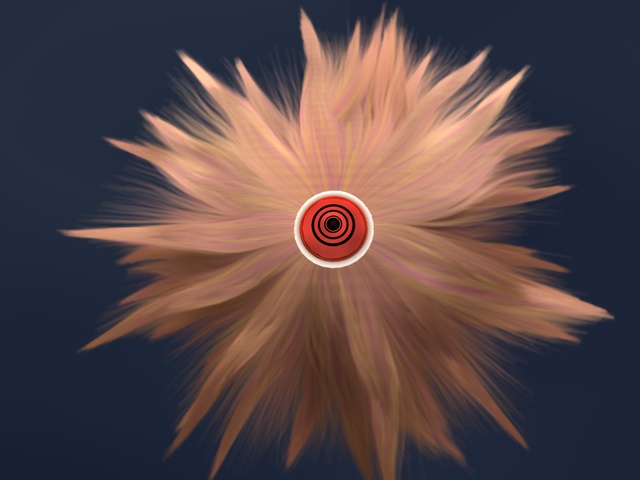 test0007.jpg