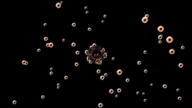 cell.jpg