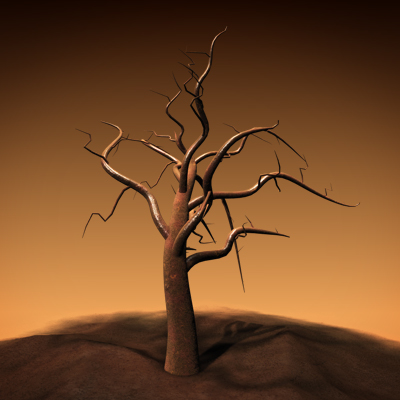 tree_00000.jpg