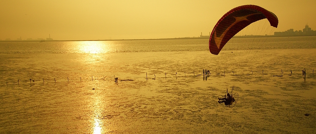 P8020408_3.jpg