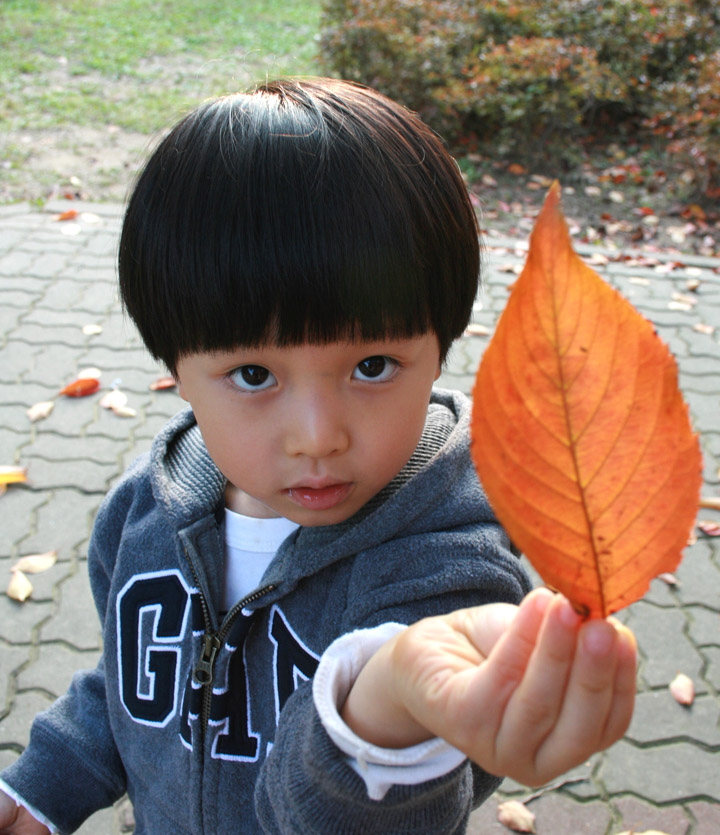 사진 036 copy.jpg