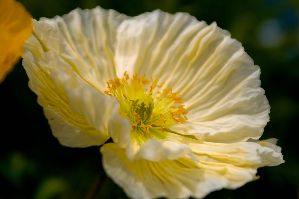 SDIM2726.jpg