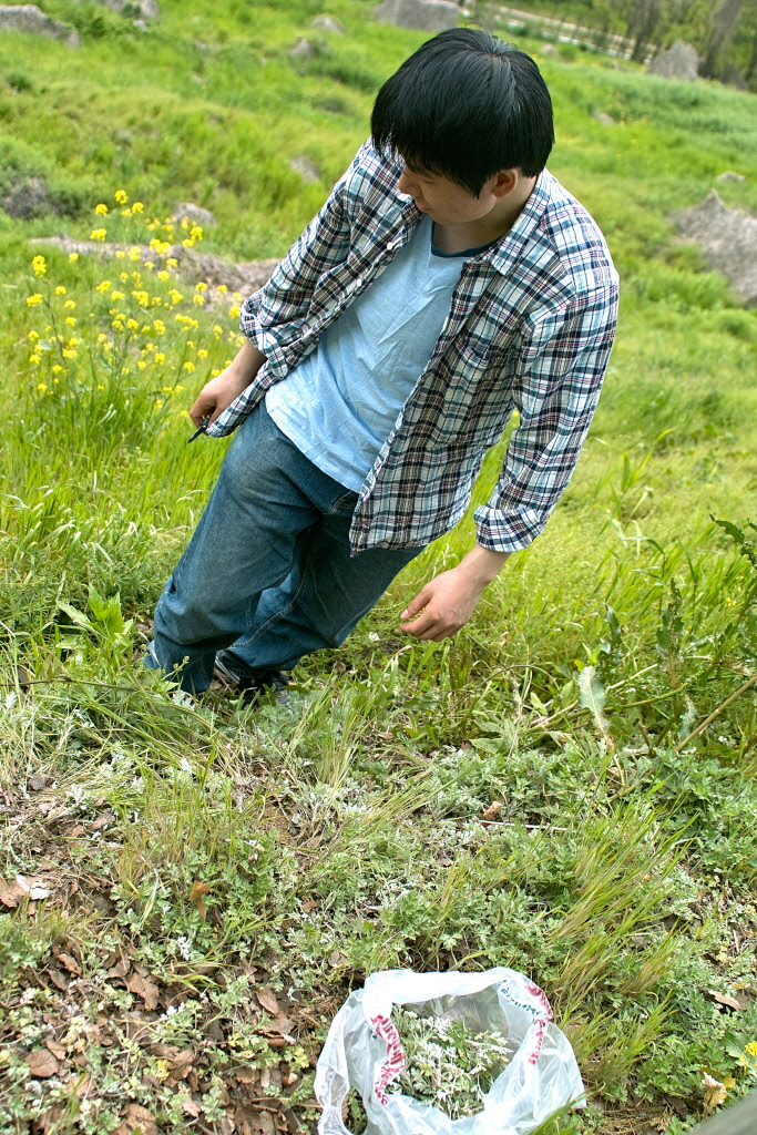 SDIM2751.jpg