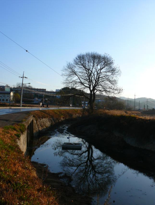 제목 없음2.JPG