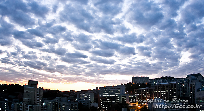 IMG_6360-3.jpg