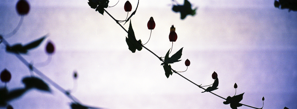 20070402-xpan_0002.jpg