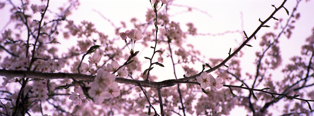 20070402-xpan_0008.jpg