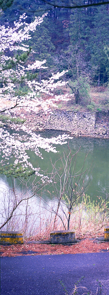 20070402-xpan_0009.jpg
