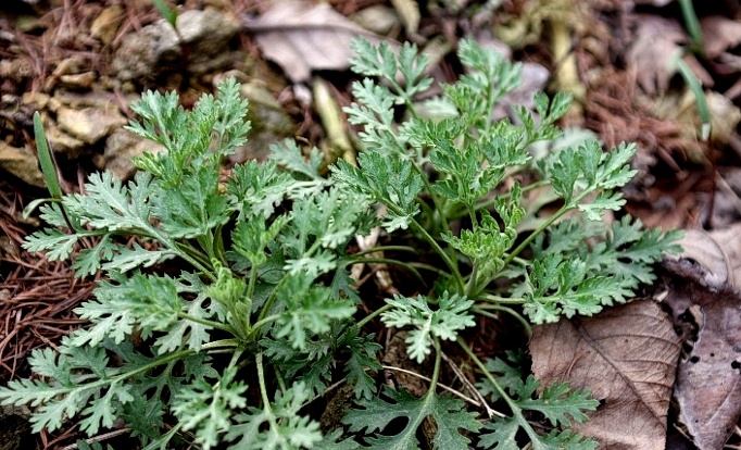 2010-05-19 02;41;45.jpg