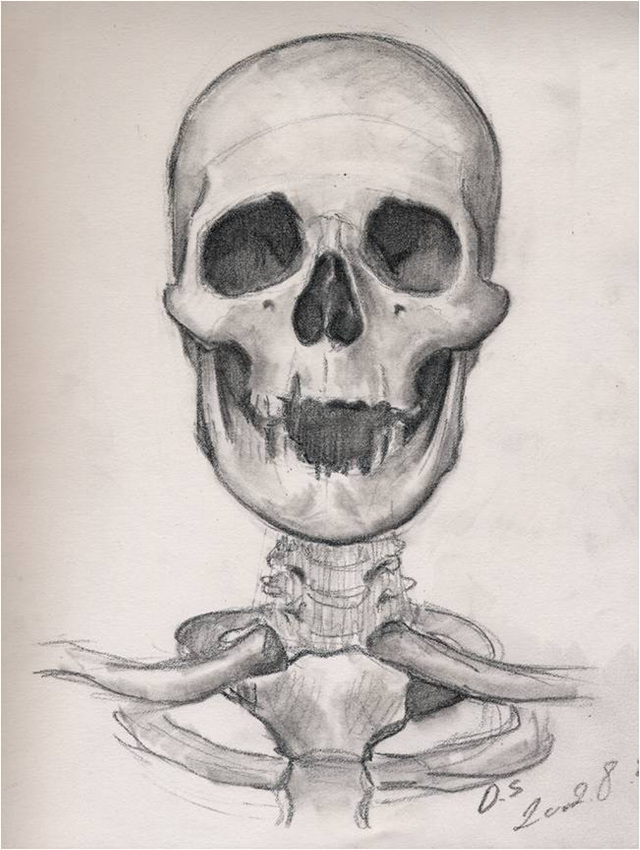 그림1.jpg