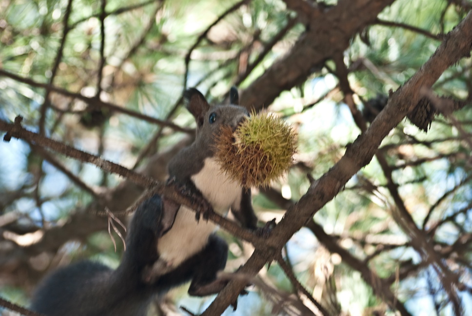 DSC_0016_resize.jpg