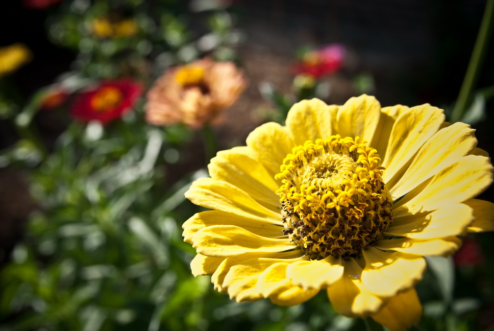 DSC_0064_resize.jpg