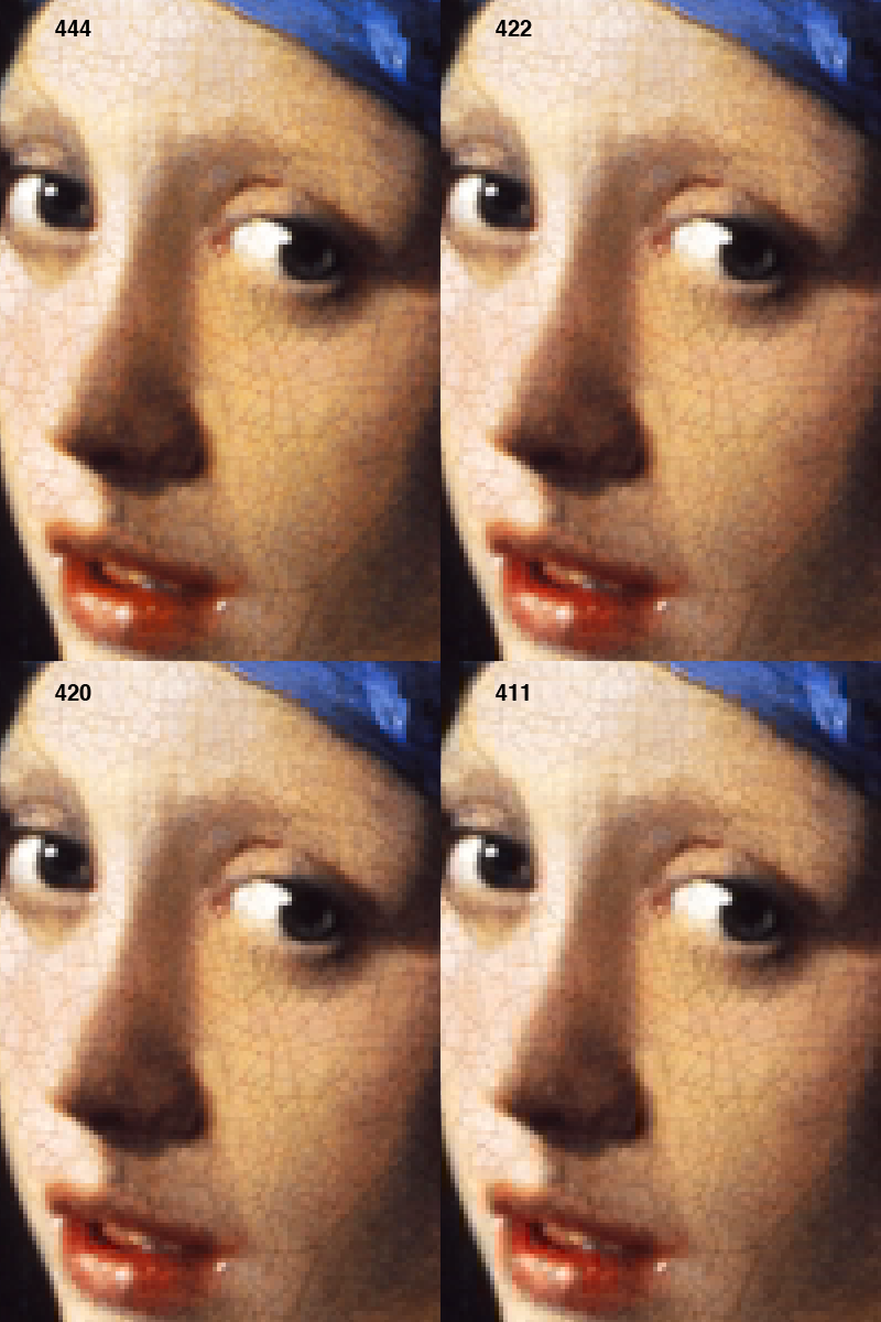 SubSampleZoom.png