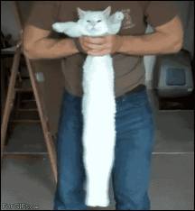 images.jpeg