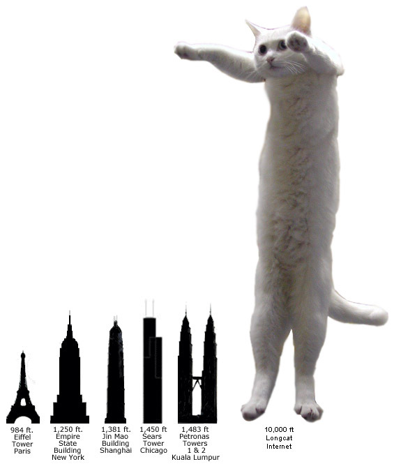 longcat4.jpg