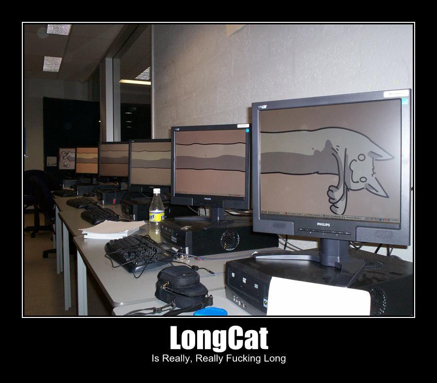 longcat.jpg