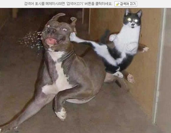 naver_com_20120829_114939.jpg