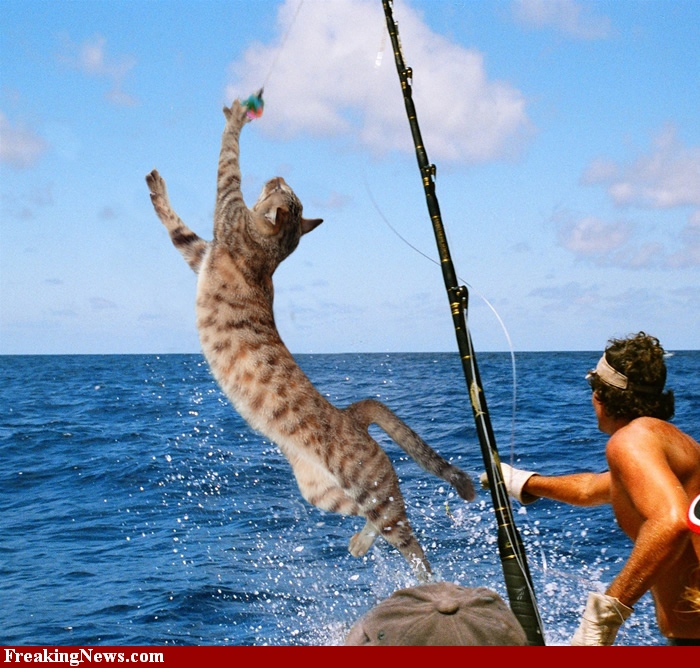 Deep-Sea-Kittening-51792.jpg